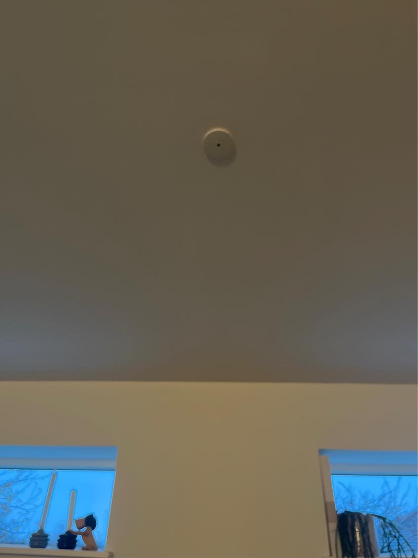 Skift af stikkontakt (lysdæmper) og ophæng af lampe