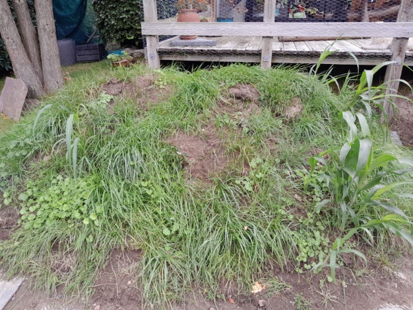 Fjernelse af ca 2 rum meter jord