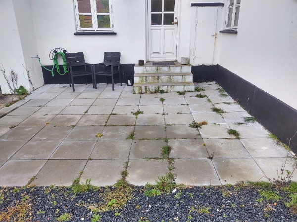 Slået græsplæne (800 kvm, højt), skære kanter ved bede, fjerne ukrudt i fliser og indkørsel.