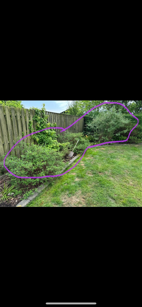 Udgravning til trampolin og træer