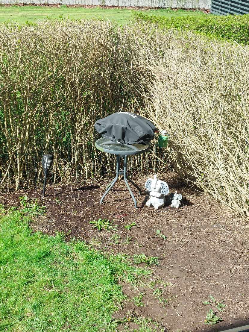 Skal have lagt 12 stk 40 x 40 fliser