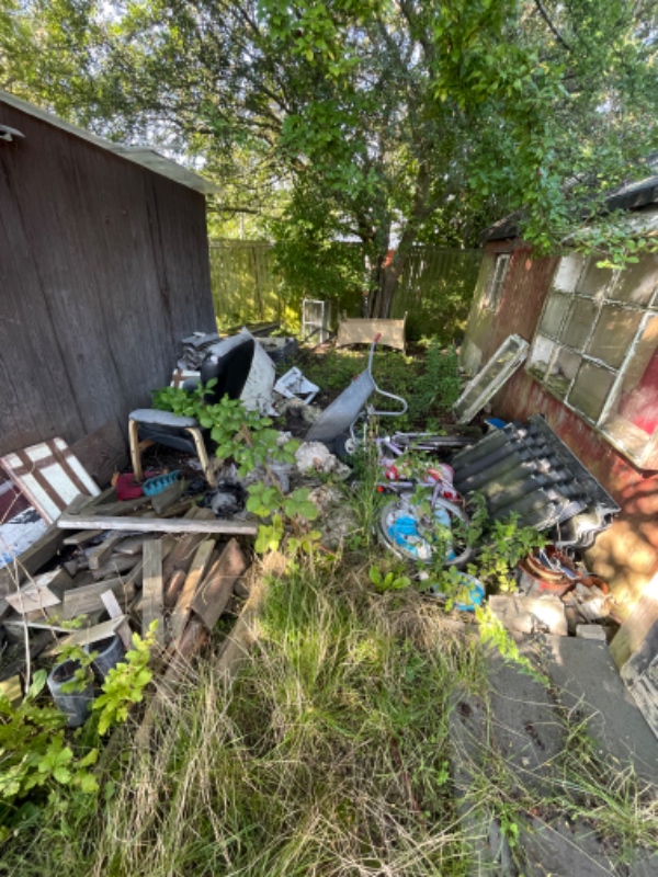 Rydde grund for affald og brombærbuske