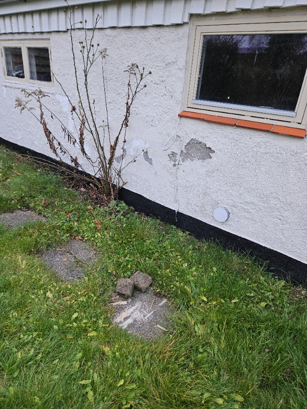 Reparation af mur samt maling