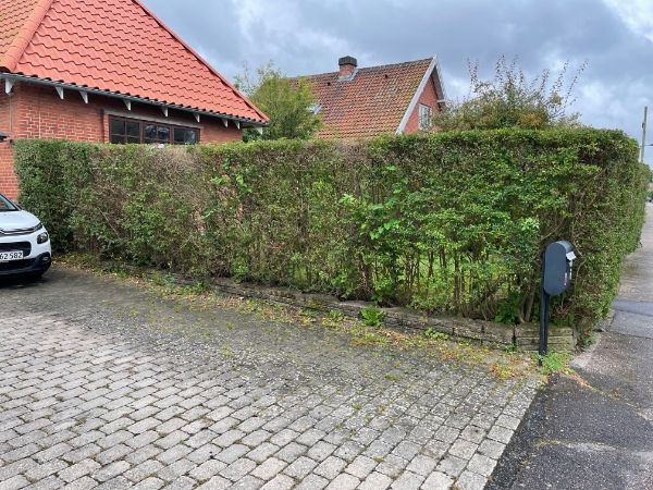 Gartner/Have arbejde - opgravning af 18m hæk