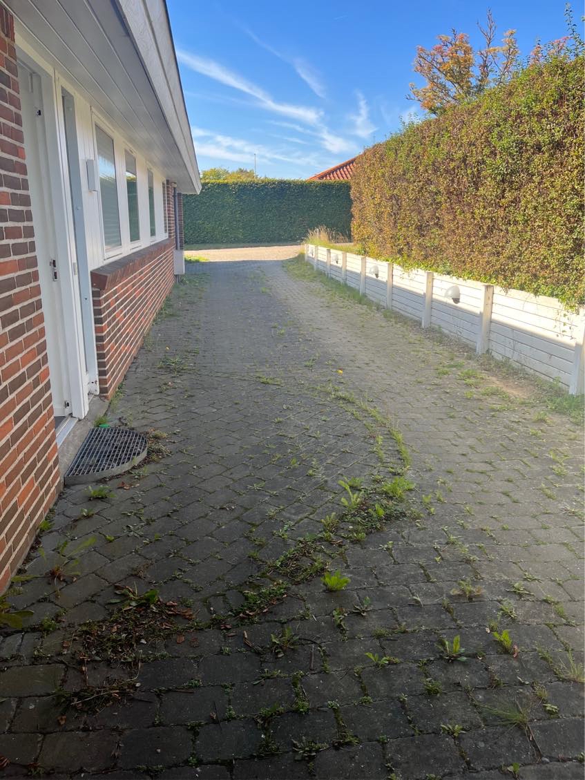 Vinterklargøring / fjerne ukrudt