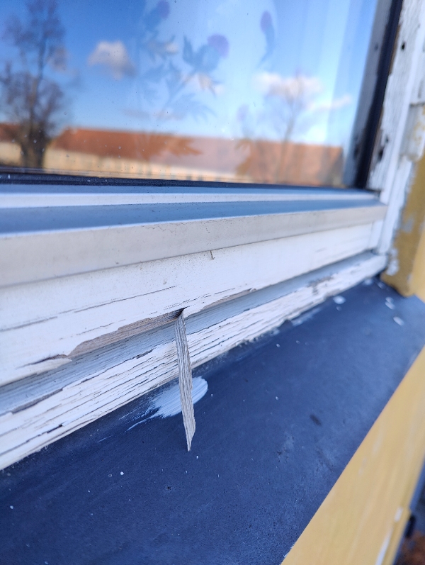 Vindue restoration og maling 8 stk (16)