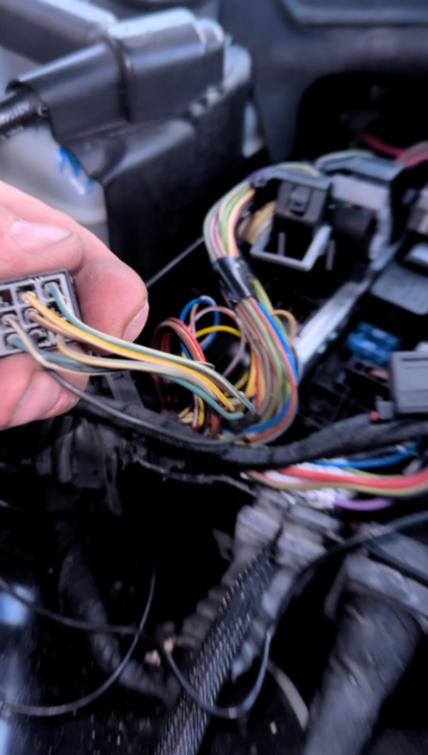 Reparation/skift af 9 stikket relæ fra ledningsnet tilhørende motorstyreenhed