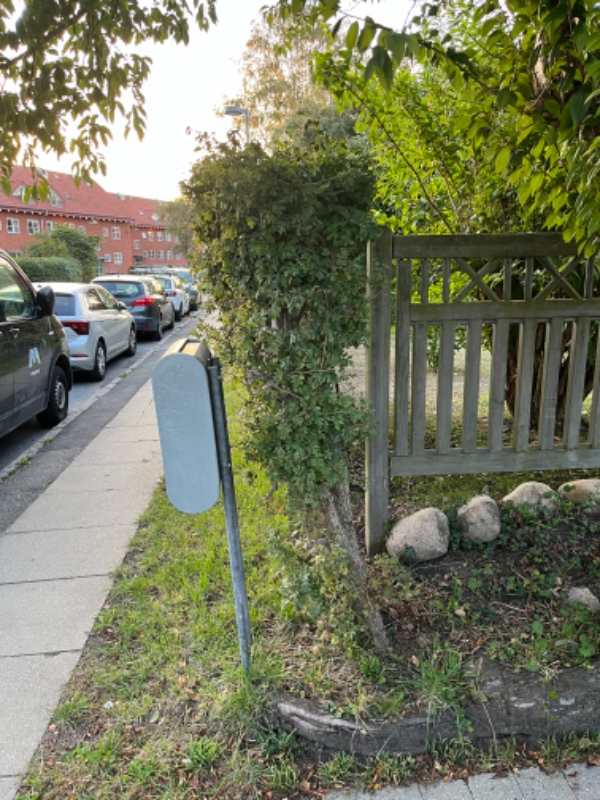 Fjernelse af tjørnehæk.