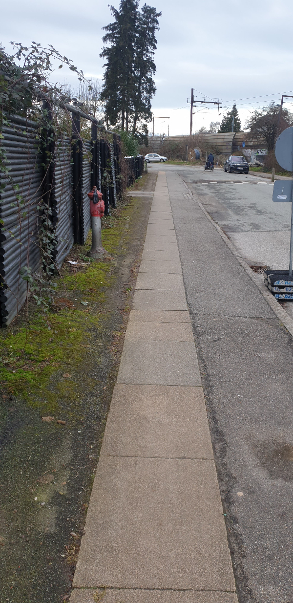 Sprøjtning og ukrudtsbrænding 75m fortov