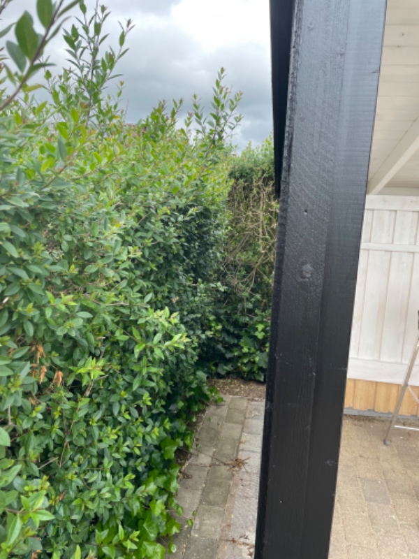 Hækklipning og bortskaffelse