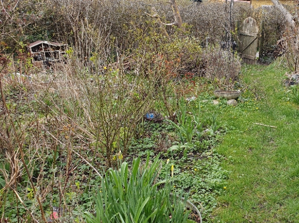 Hjælp til havearbejde