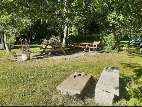 Havearbejde: hækklipning og græsslåning