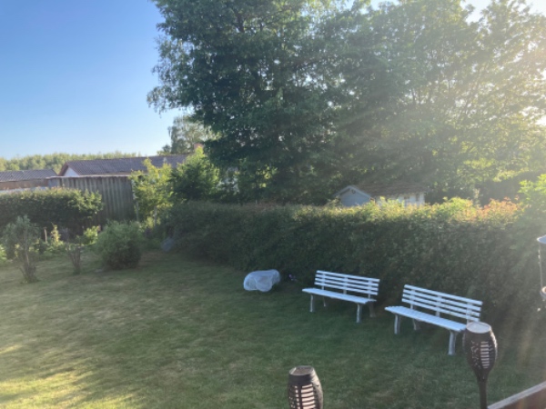 Klippet hæk på 4 sider