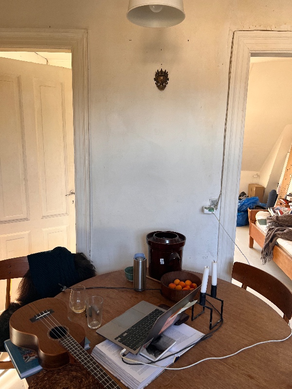 fjernet væg mellem bærende lægter på femte sal