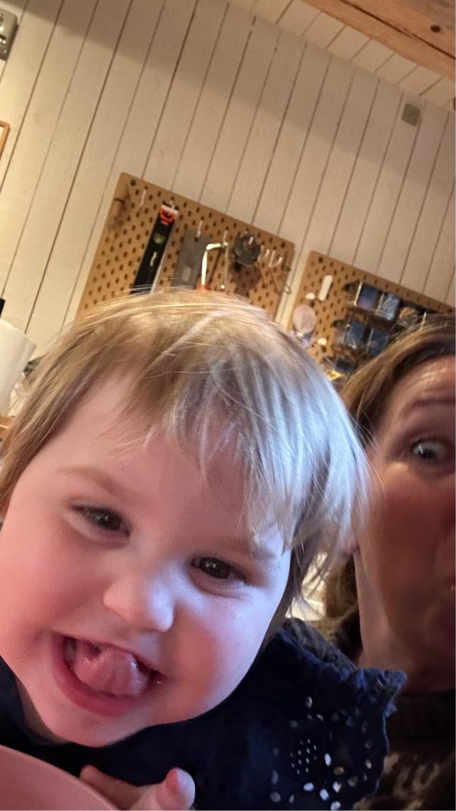 Reperere indvendig dør