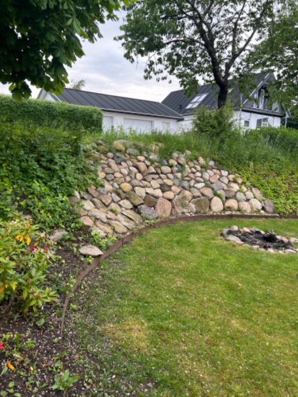 Fjerne ukrudt i bede