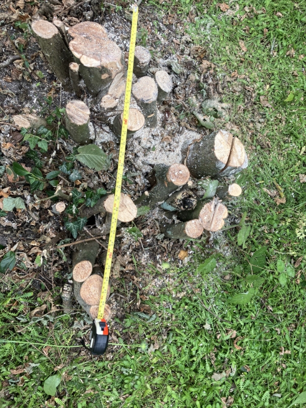 opgraving af 2 trærøder eller Stubfræsning?