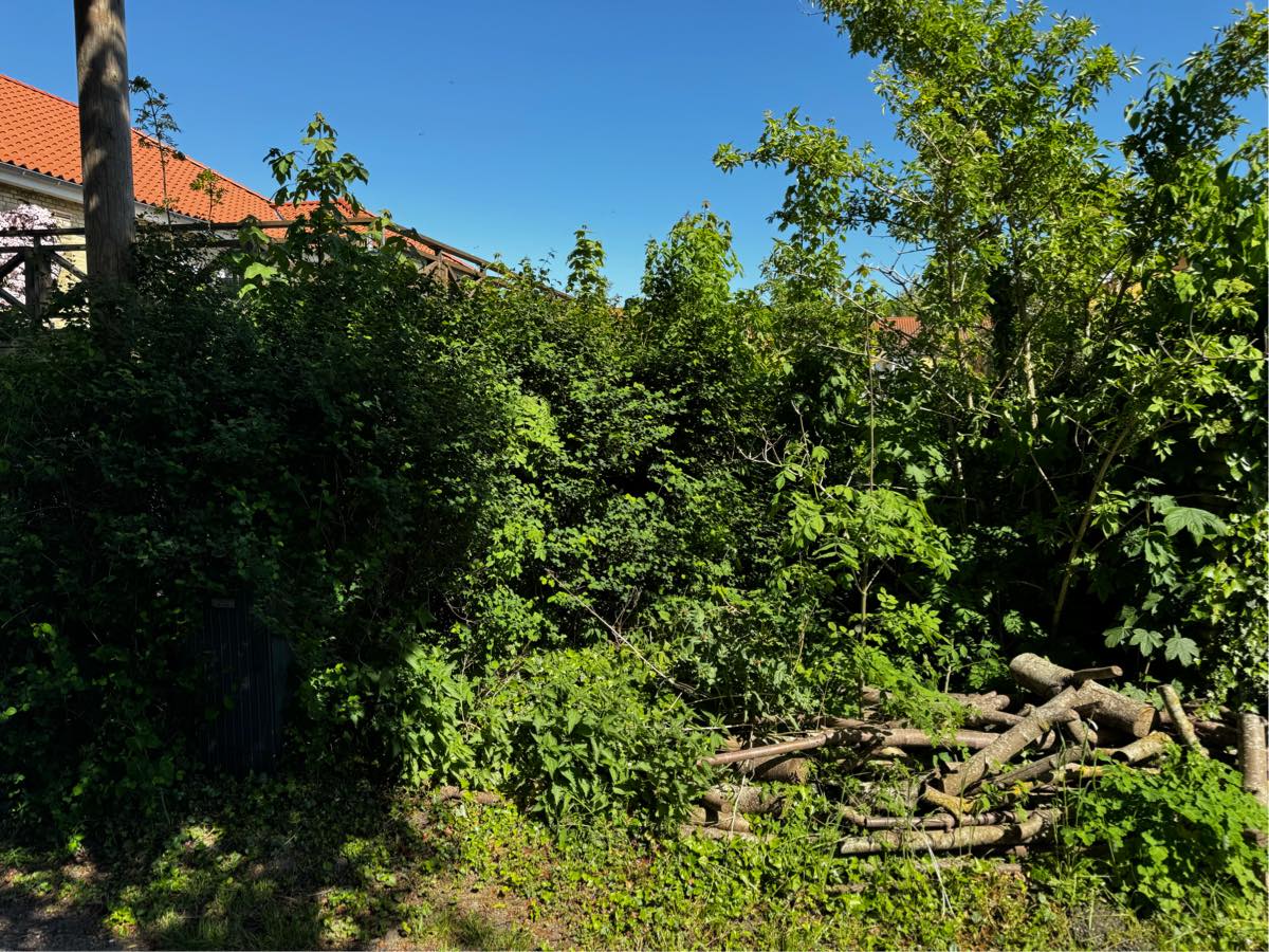 Havearbejde