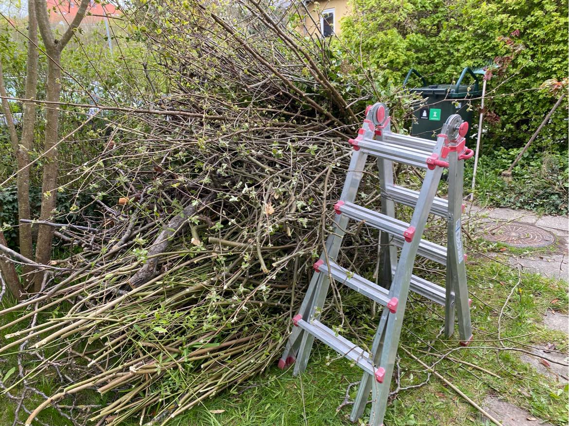 Kørt grene væk efter beskæring