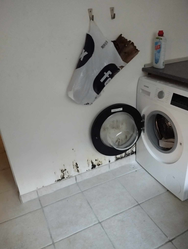 Nedvaskning af skimmelsvamp i villakælder