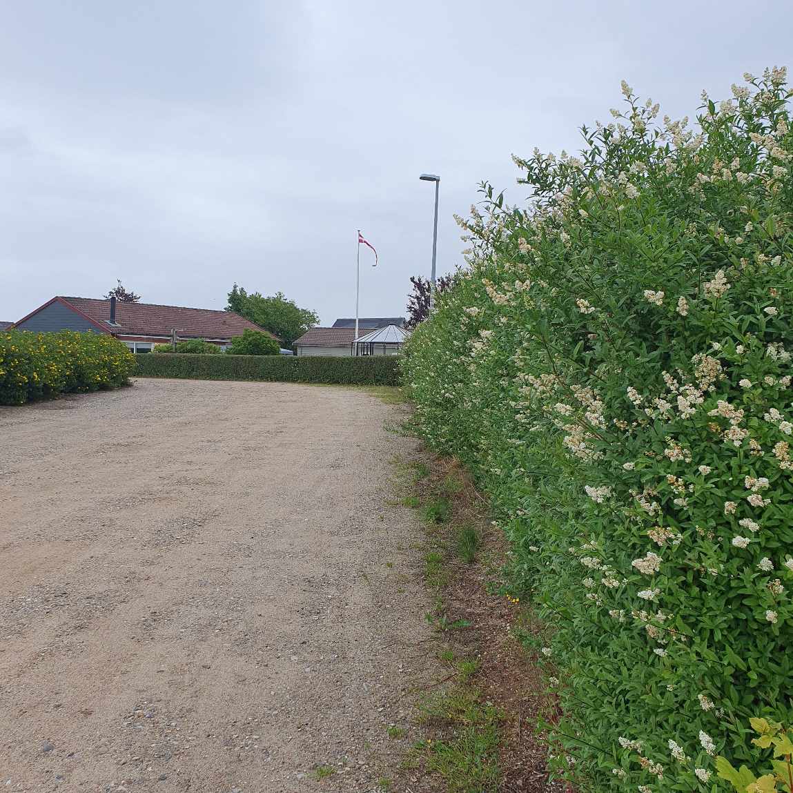 Hækklipning rundt om grunden