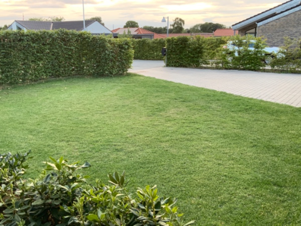 Gravet hul i haven 4x4x0,7m, støttemur på alle 4 sider måske 30 cm. Fundament i bund i form af cemen