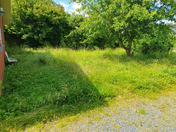 Overgroet forhave og baghave