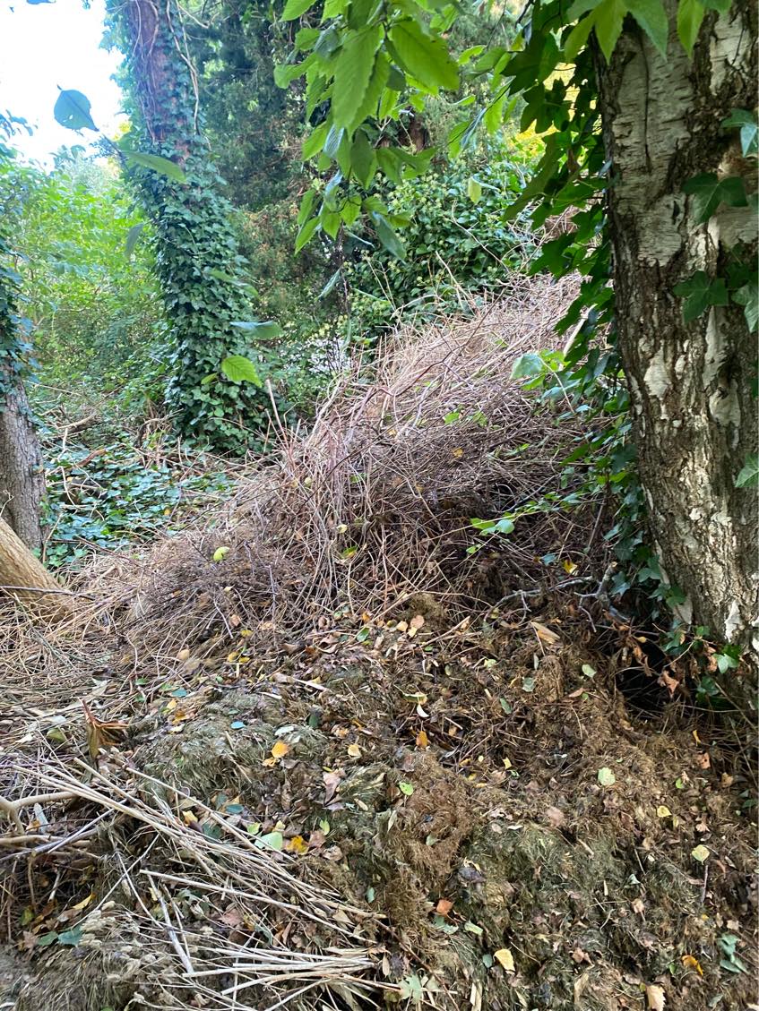 Afskaffelse af haveaffald