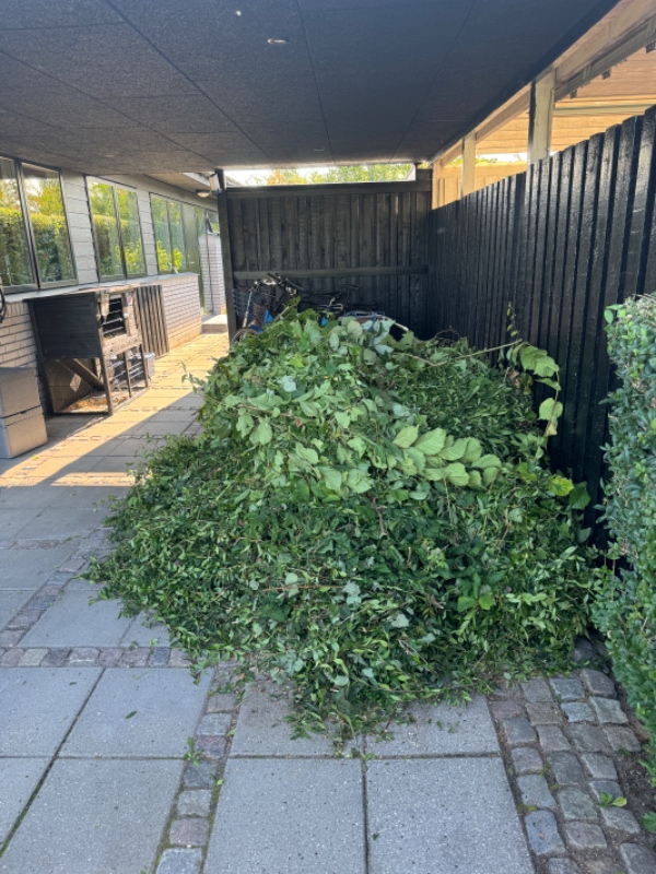 Afhentning af haveaffald fra hækkeklipning