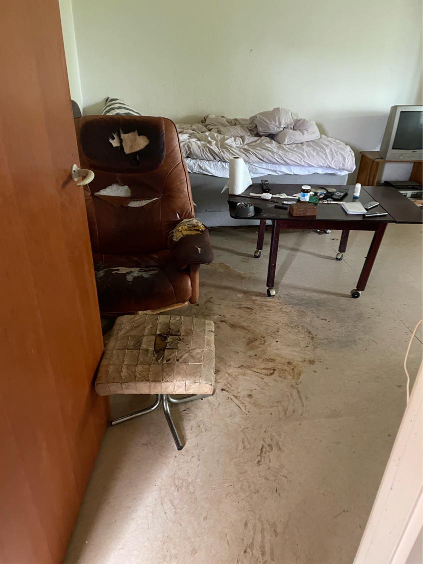 Rydning og rengøring af dødsbo