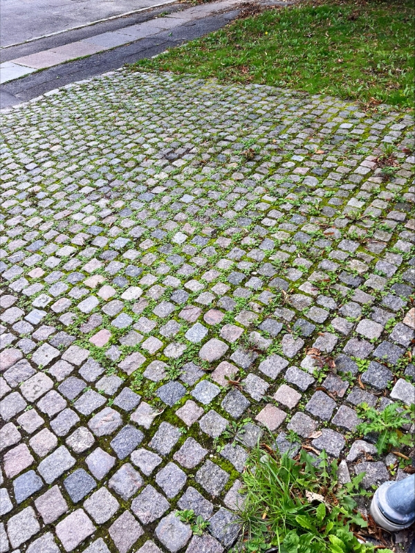 Jeg skal have kørt skrald væk og ukrudt skal luges/brændes væk i en gårdsplads med brosten.