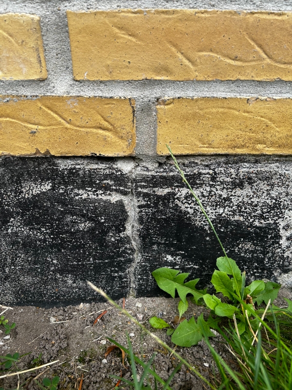 Murerarbejde - afskalninger, reparation