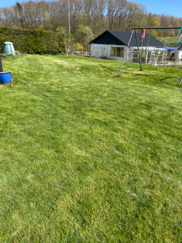 Planering og græssåning, terrasseanlægning