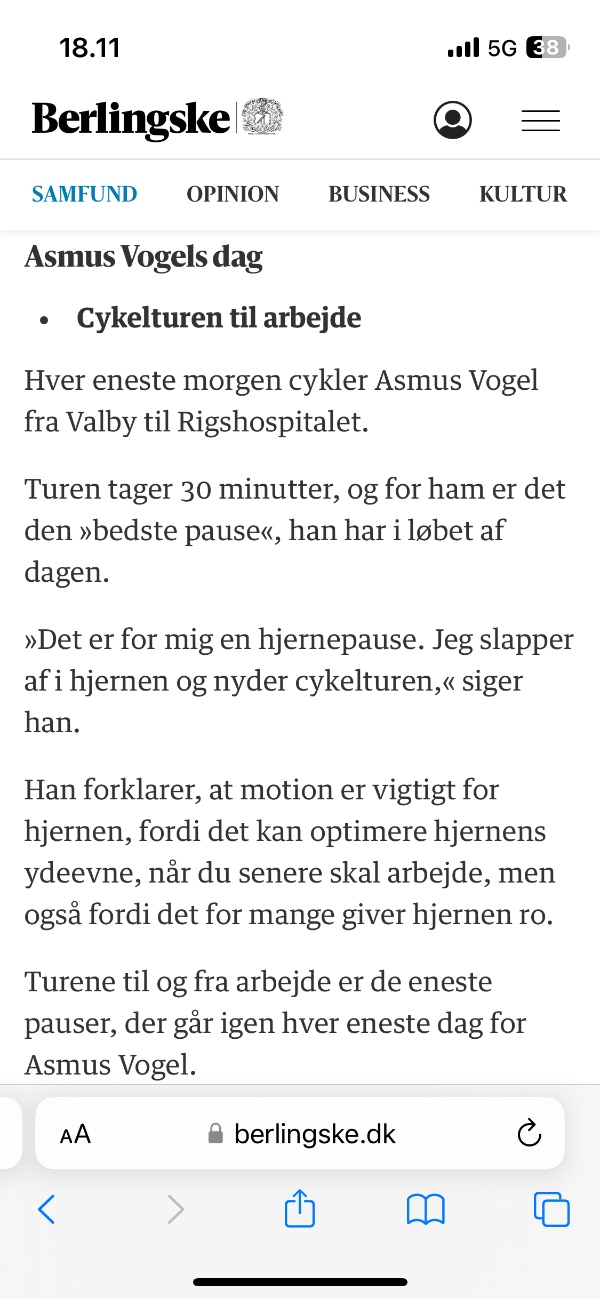 Nedtagning af brændeovn