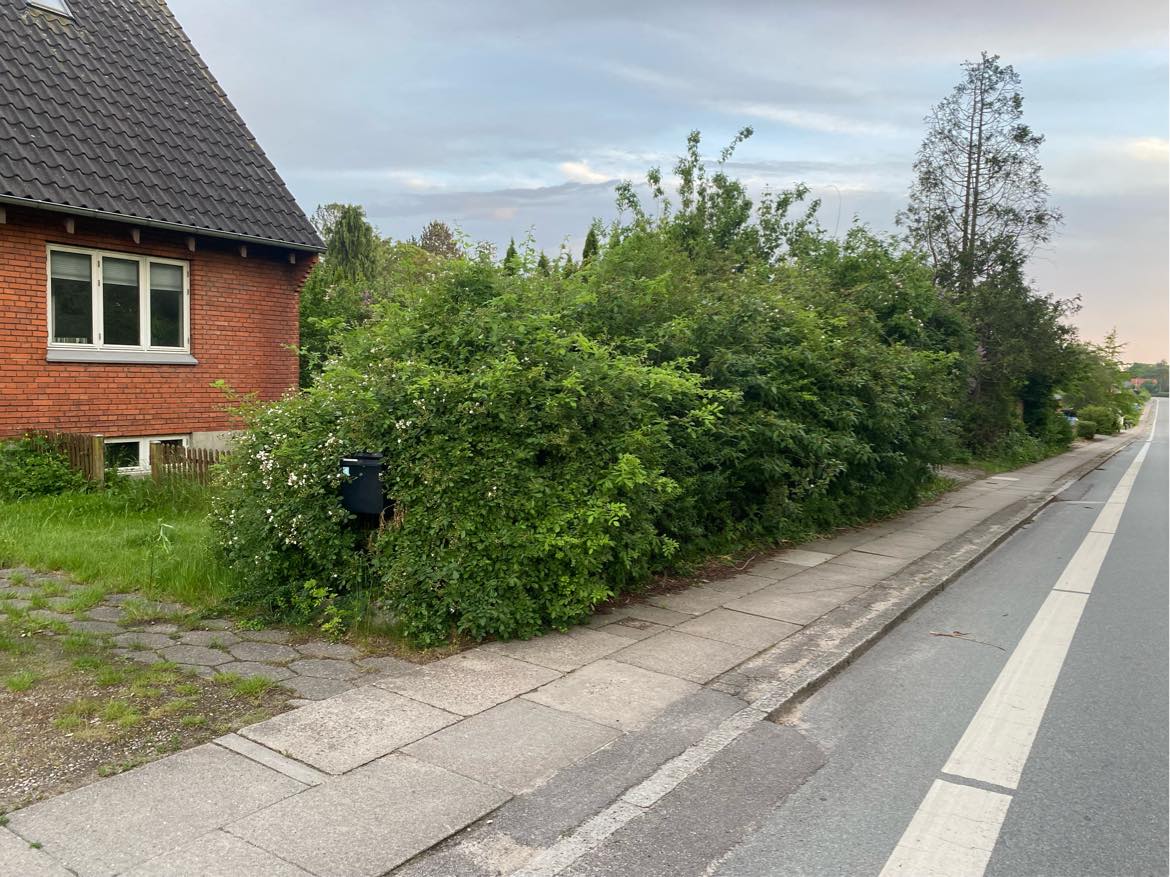 Slå langt græs og beskær hæk