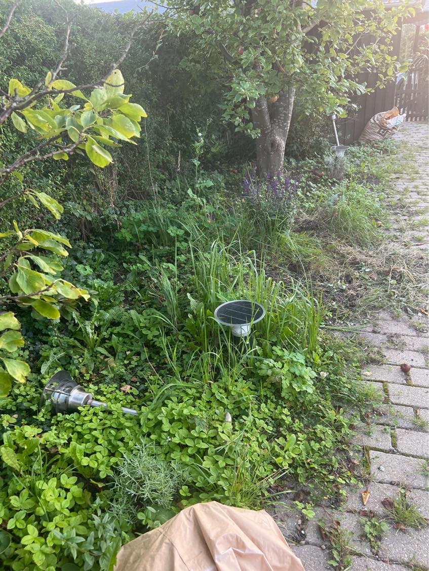 4 timers fjernelse af ukrudt ml fliser og i bed