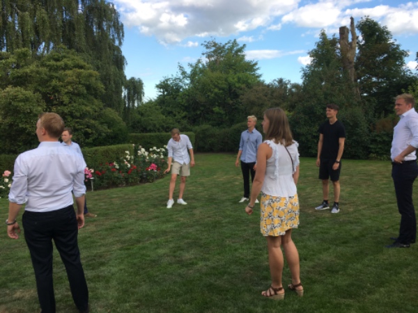 Klipning af buske og hæk