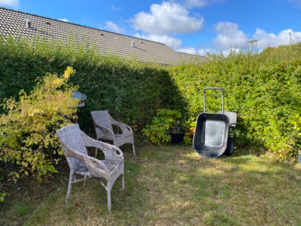 Klippet ca 30 m hæk. Ca 15 m kun på en side.