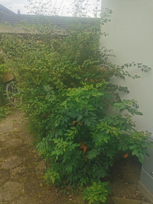 Meget havearbejde med forskellige opgaver