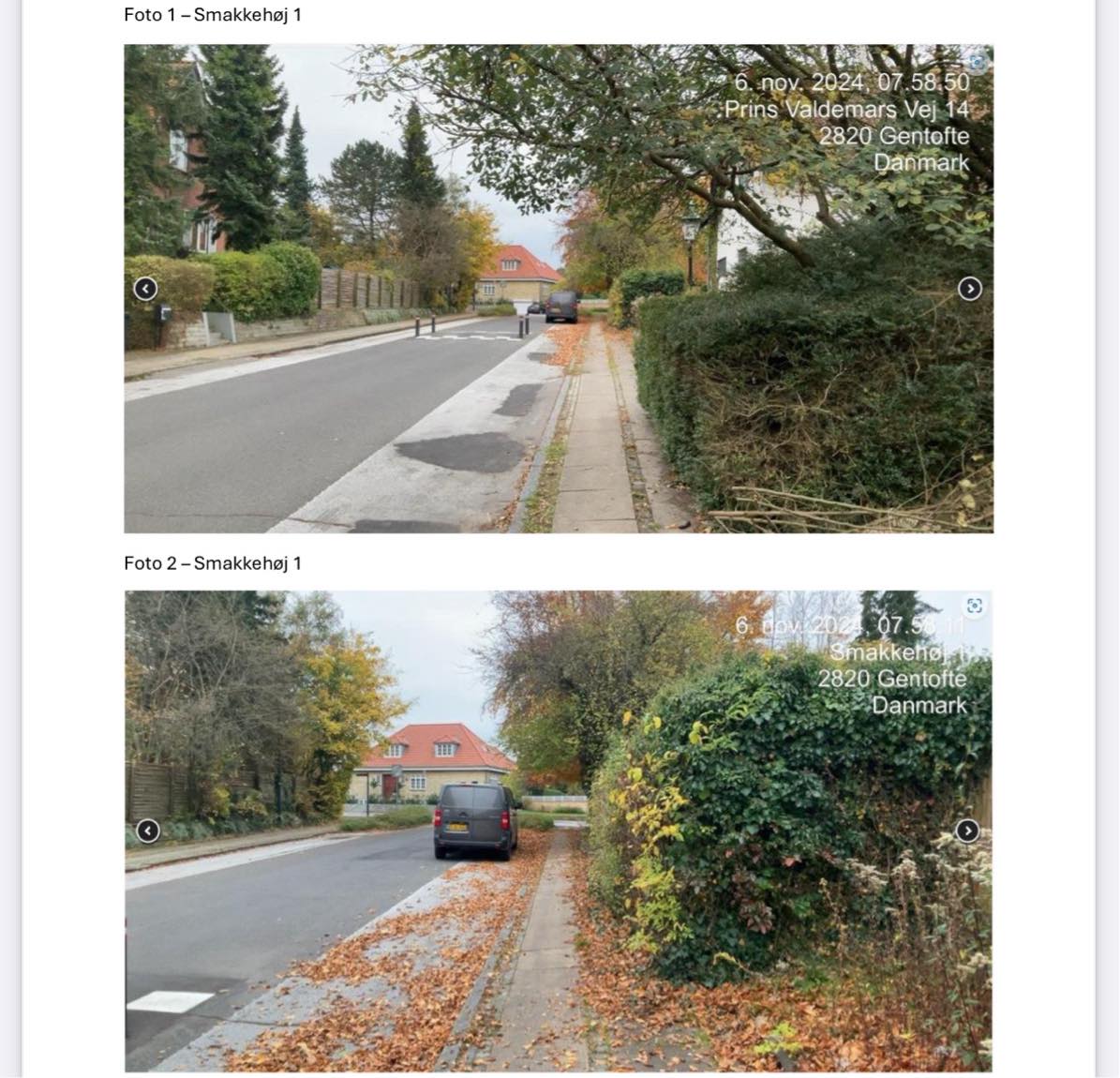 Beskæring af træer/hække og bortskaffelse af