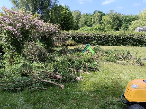 Udbæring samt bortkørsel af takshæk