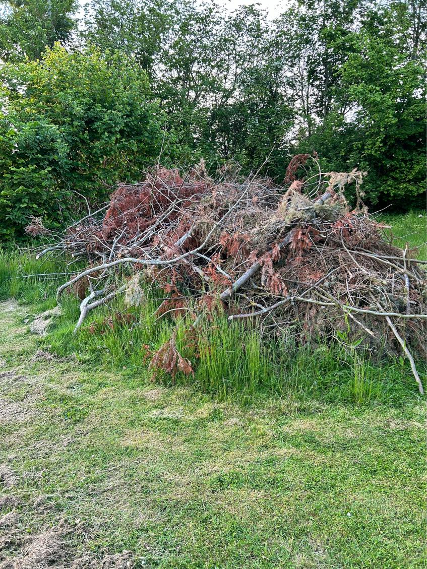 Fjernet 2 bunker grene