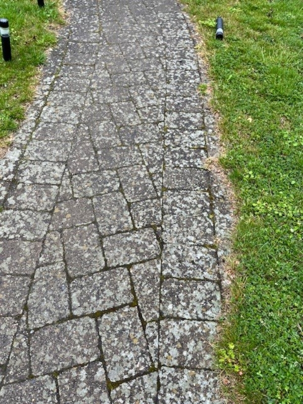 Terrasserens og algebehandling 20 kvm