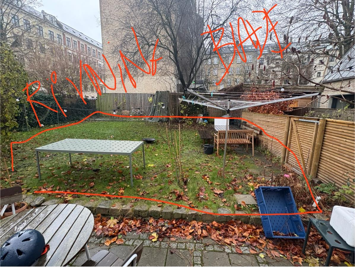 Beskæring af træ / bladeopfejning / genbrugsplads