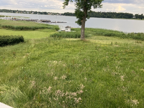 Plæneklipning med plænetraktor