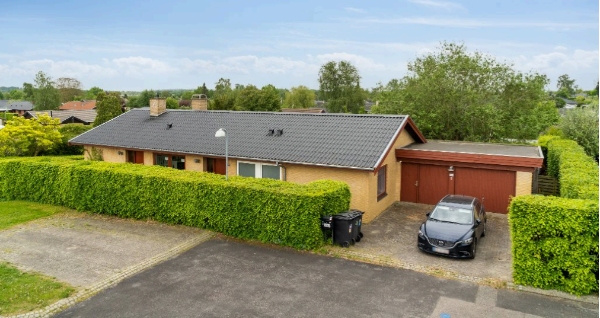 Klippet hæk og afleveret grene på genbrugsplads