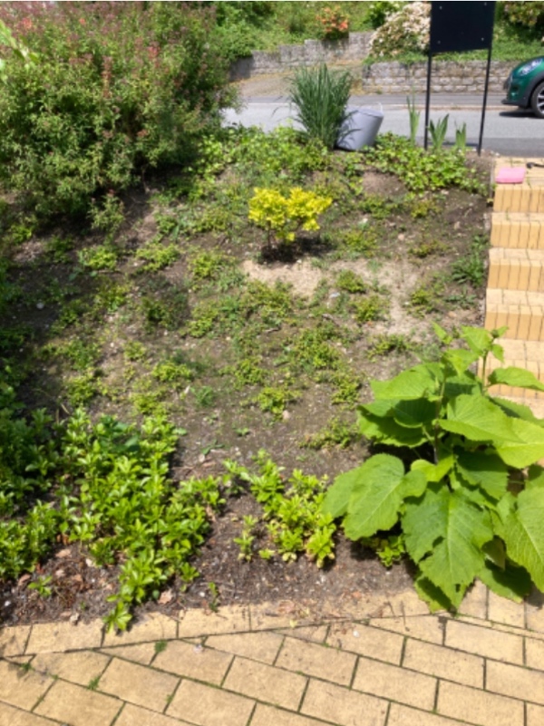 Lugning og oprydning af bede