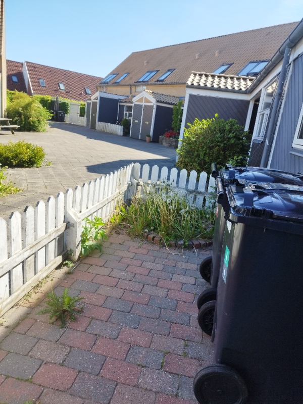 Ukrudtsfjerning og juletræsafhentning