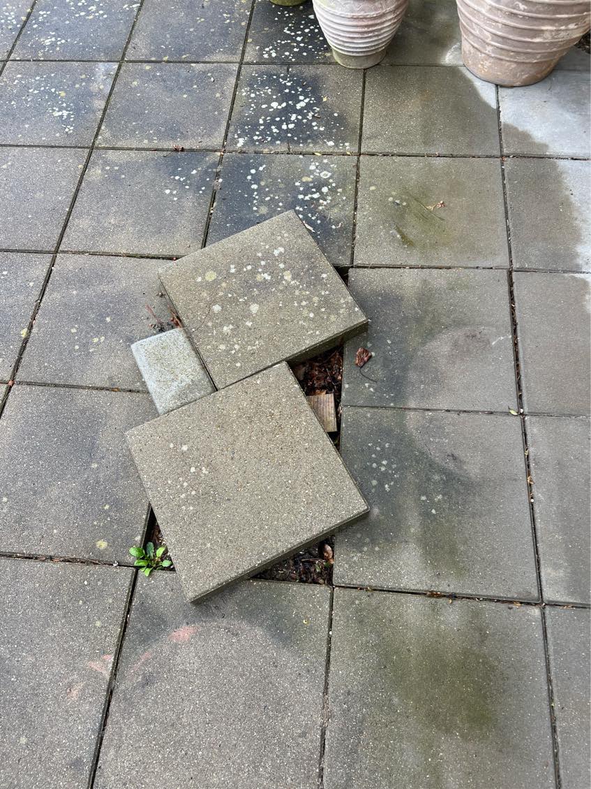 Omlægning af 6 stk 30x30x6 betonfliser