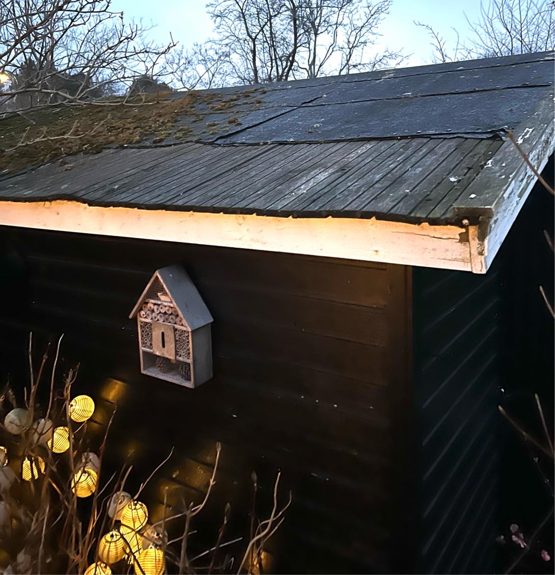 Nyt tag på haveskur